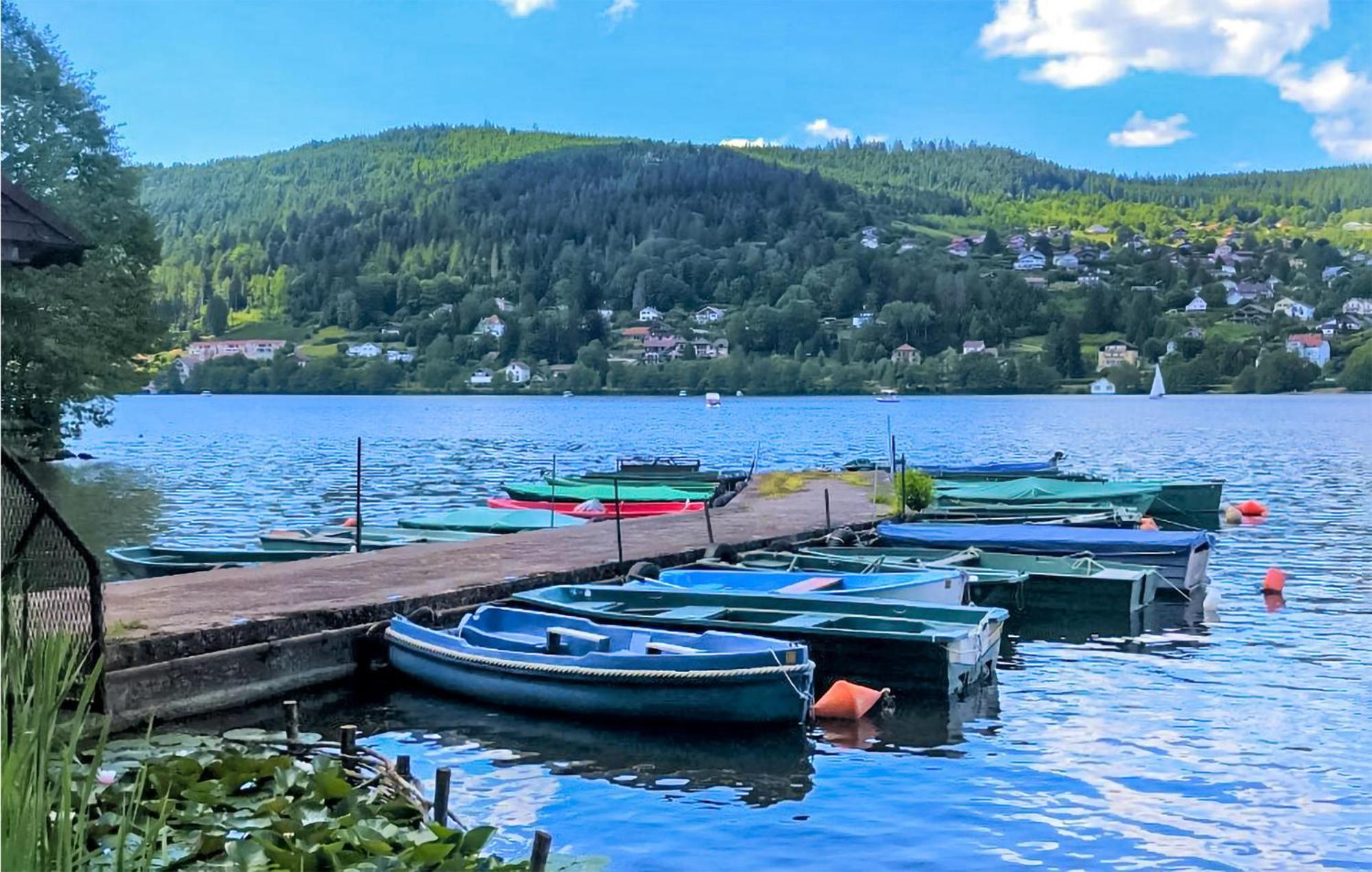 Gorgeous Apartment In Gerardmer With Kitchen Eksteriør bilde
