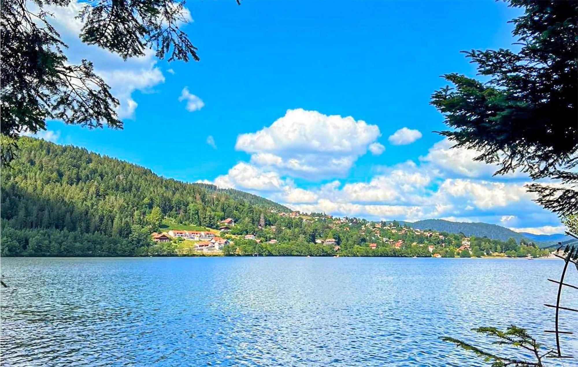 Gorgeous Apartment In Gerardmer With Kitchen Eksteriør bilde